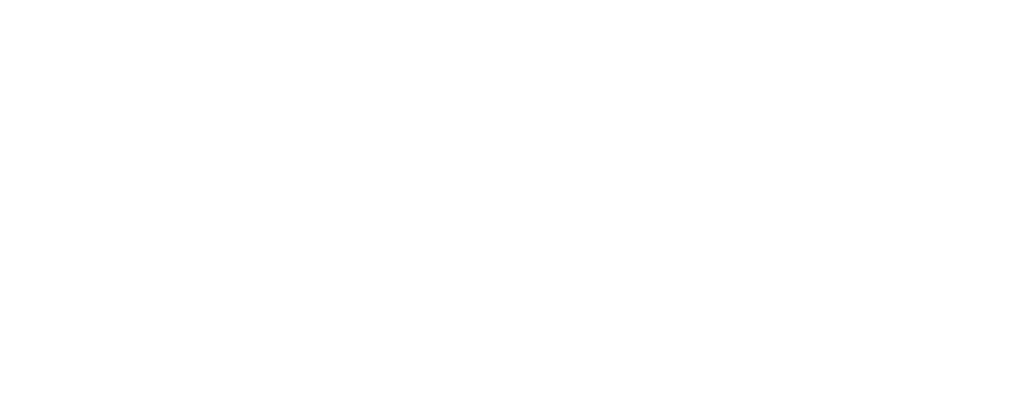 Cactus Heaven