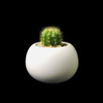 Green Globe