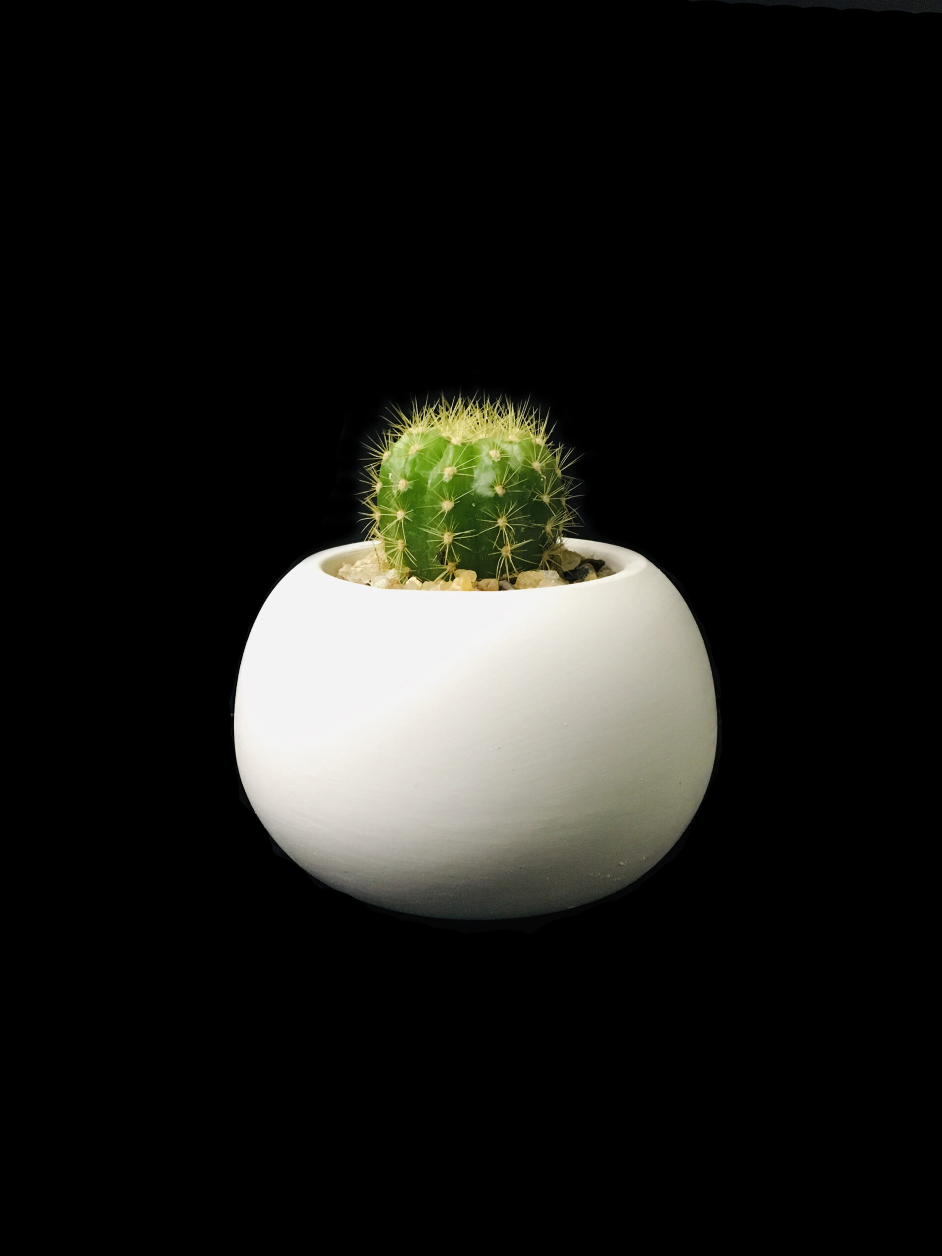 Item Code G02 Green Globe - Image 1
