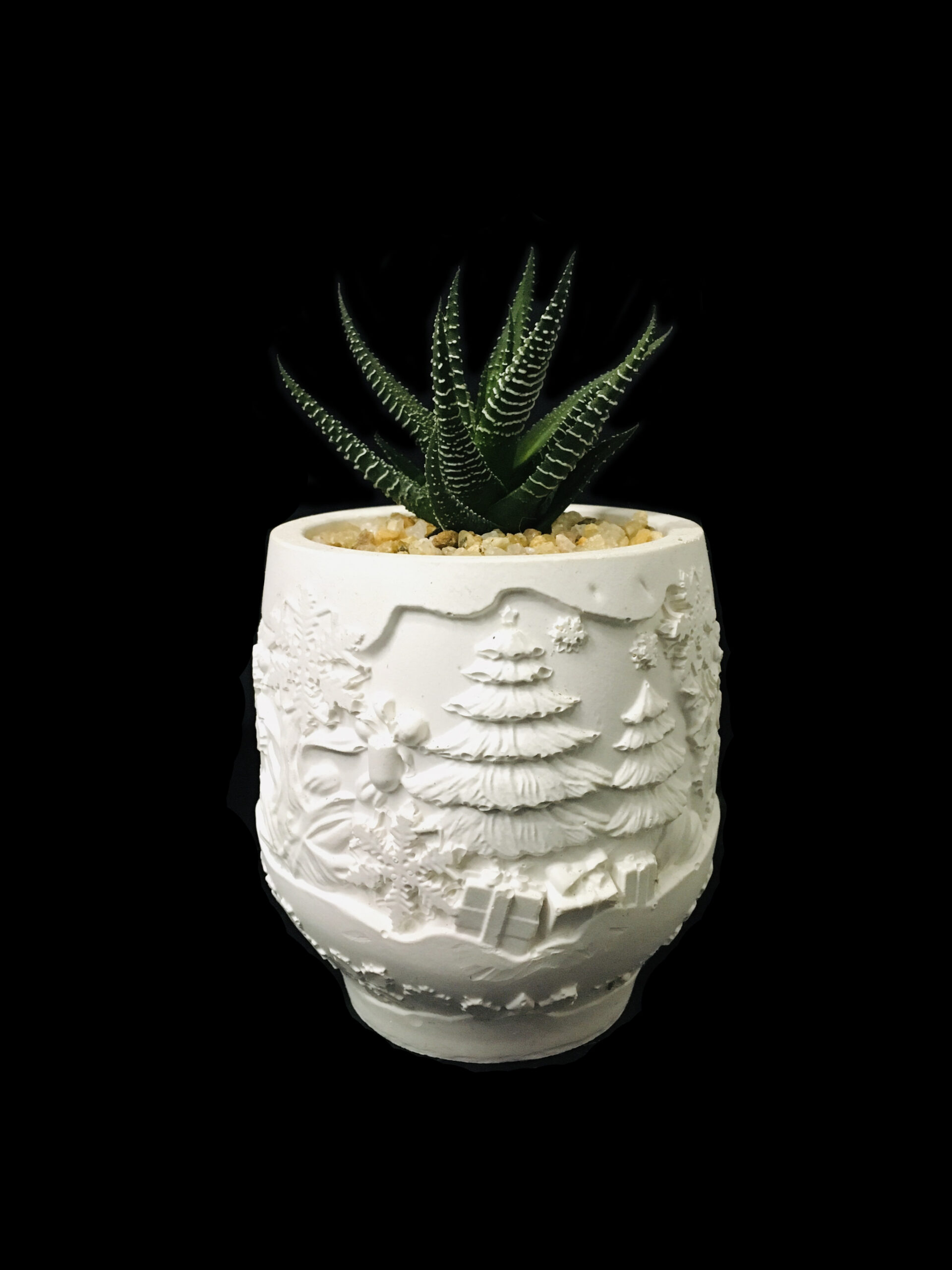 Item Code G03 Snow Zebra - Image 1