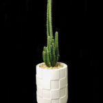 Desert Tower